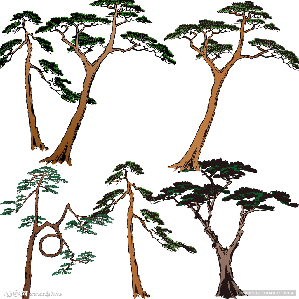 竖版松树简笔画画法图片步骤💛巧艺网