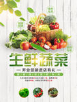 蔬菜海报