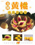 炎陵黄桃