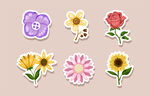 立体花朵贴图