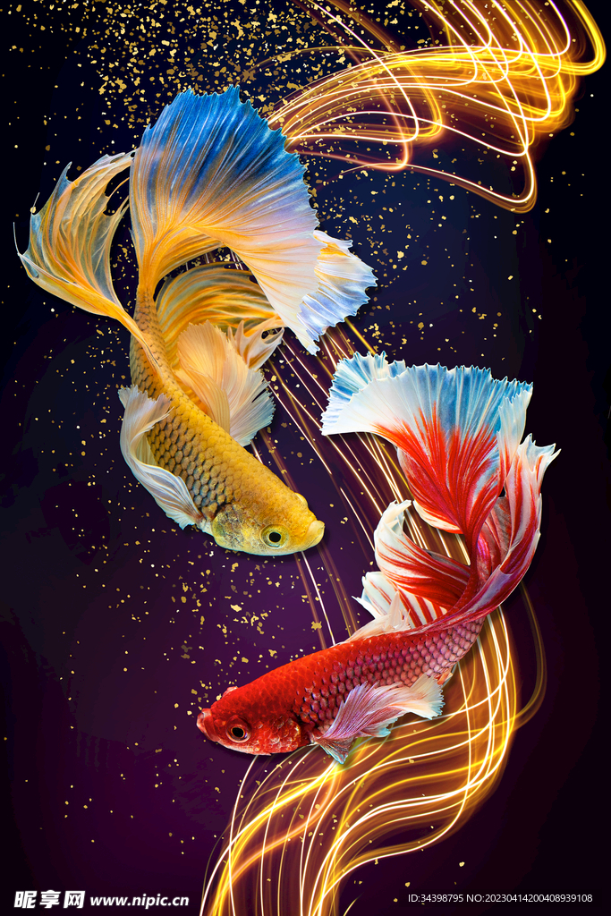 金鱼玄关