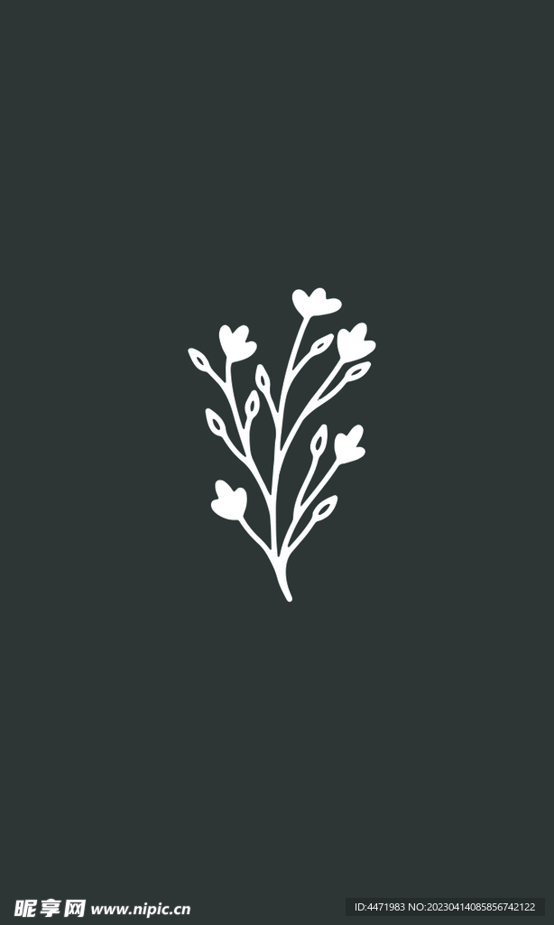 植物海报 