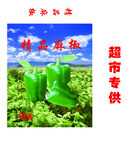 精品麻椒包装