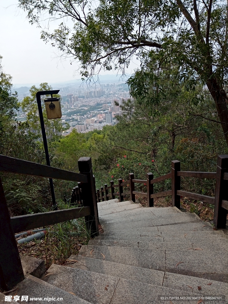 山上风景