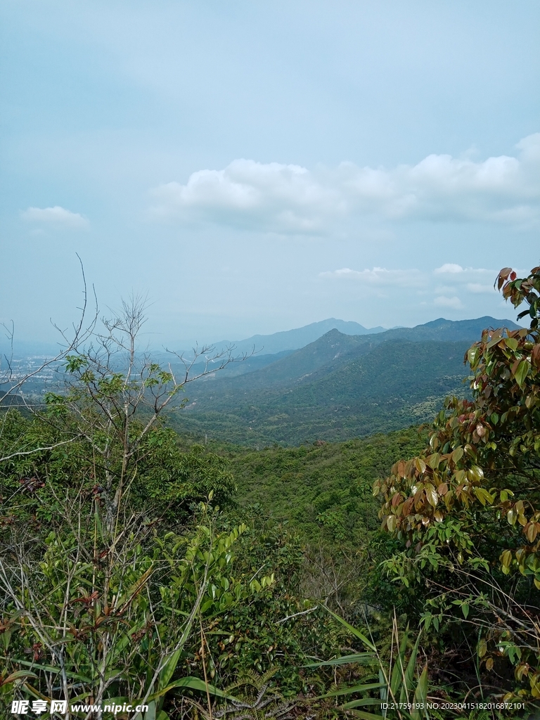 山上风景