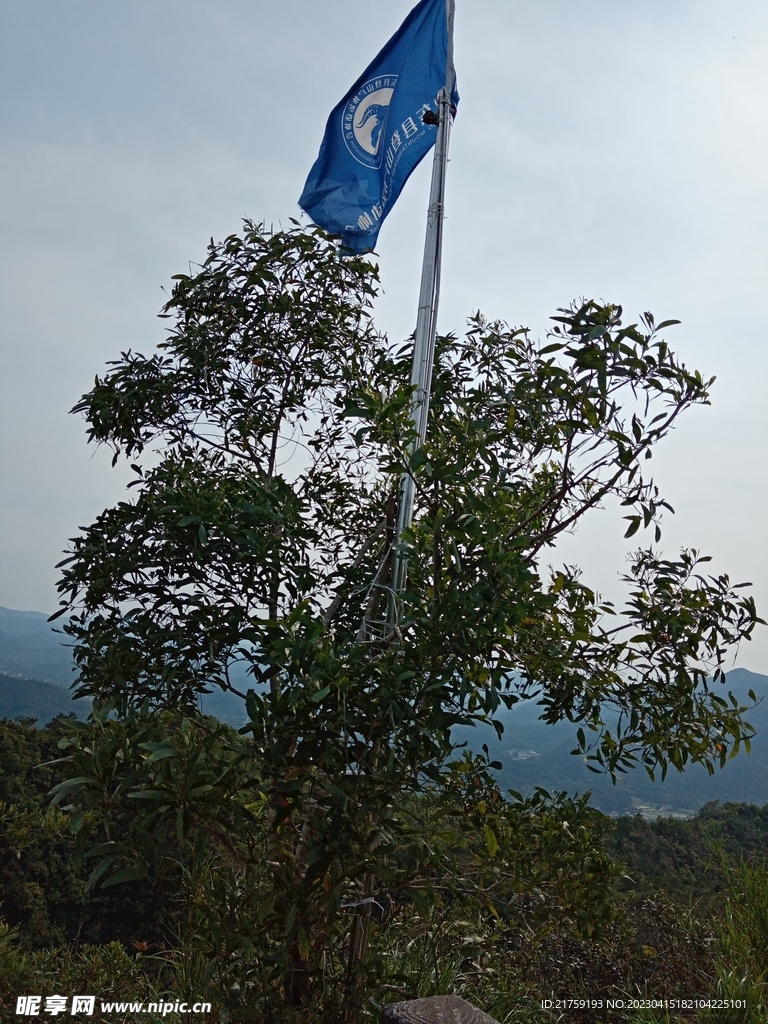 山上风景