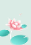 荷花