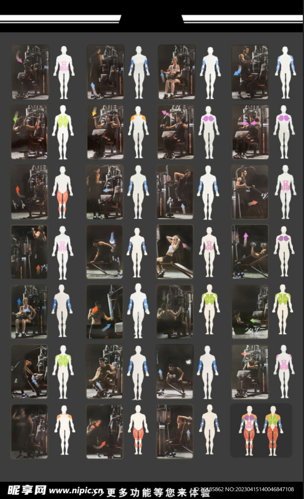 健身部位分布图
