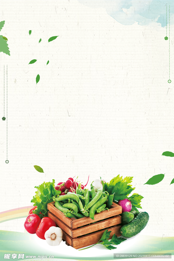  蔬菜背景