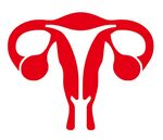 免抠矢量女性生殖系统
