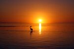 夕阳