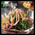 海肠鹿角菜
