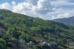 绿色山村