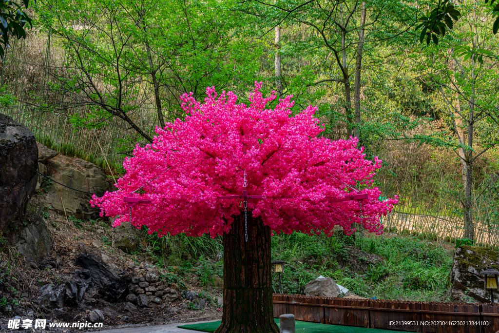 粉色花树