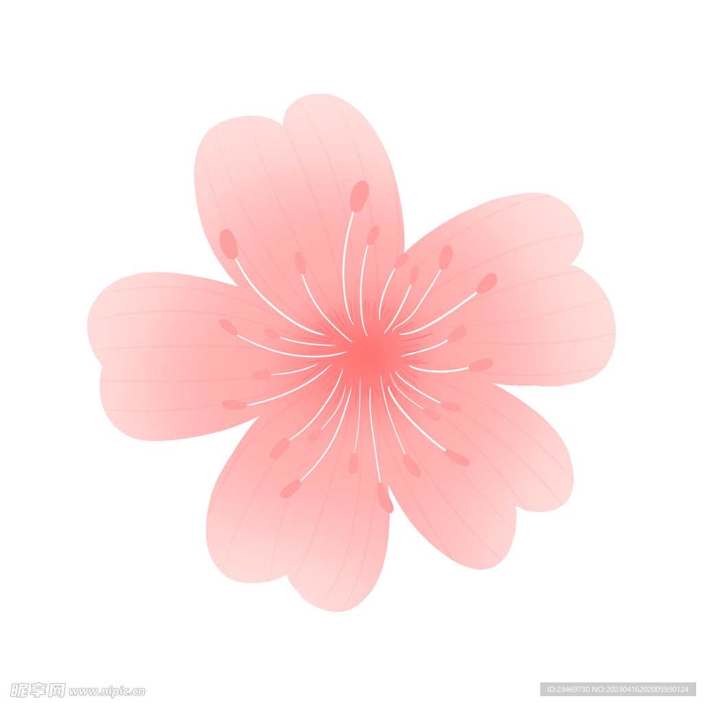 桃花