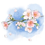 桃花