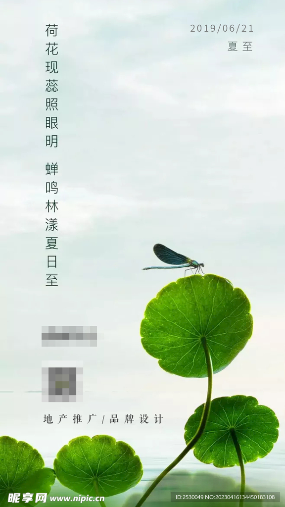 夏至海报