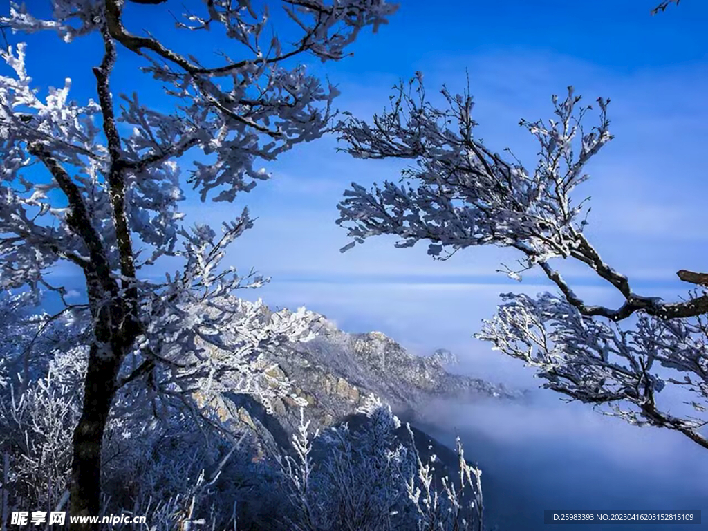 白雪山顶
