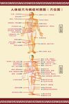 人体穴位图