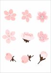 樱花花朵手绘元素