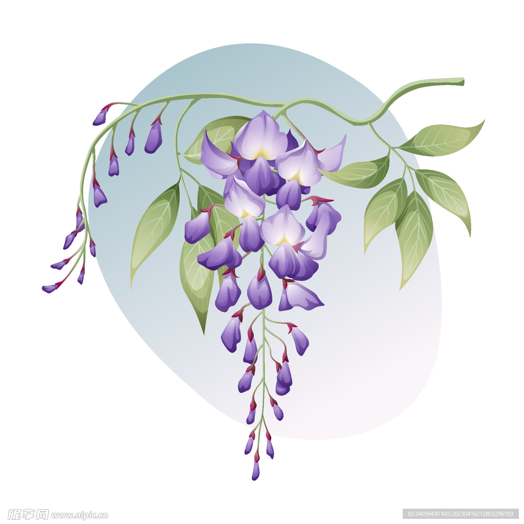 紫藤萝手绘清新花卉背景墙图片素材免费下载 - 觅知网