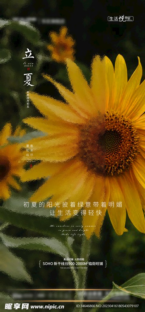 立夏节气海报
