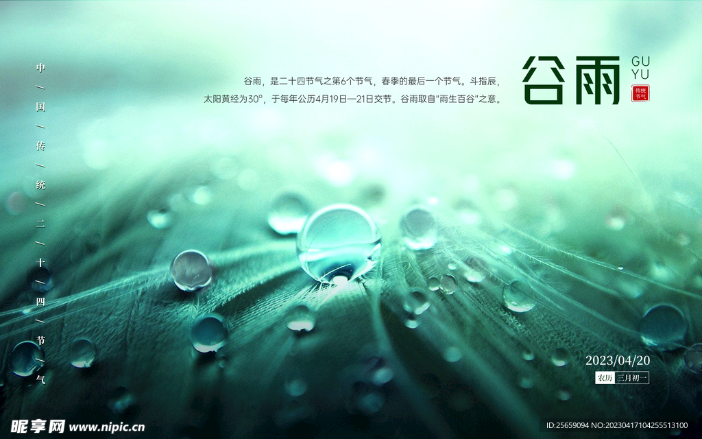 谷雨海报