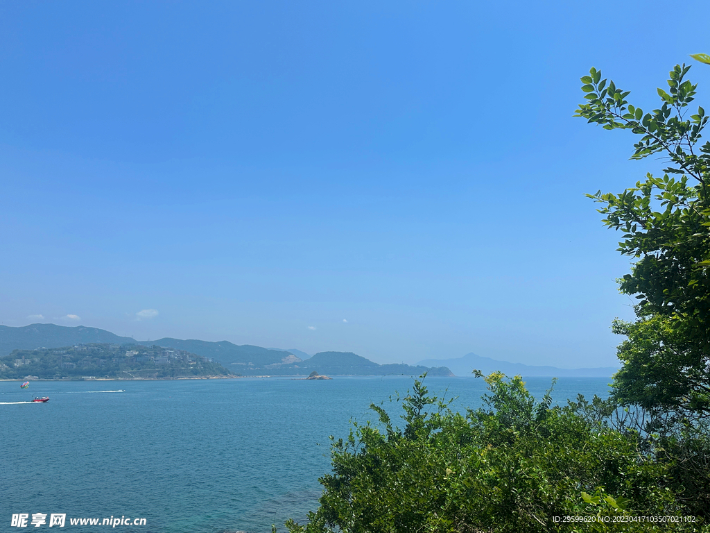 大海