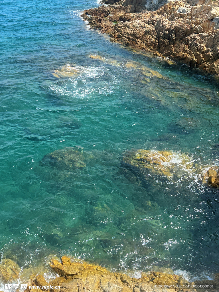 大海