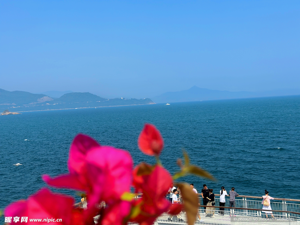大海