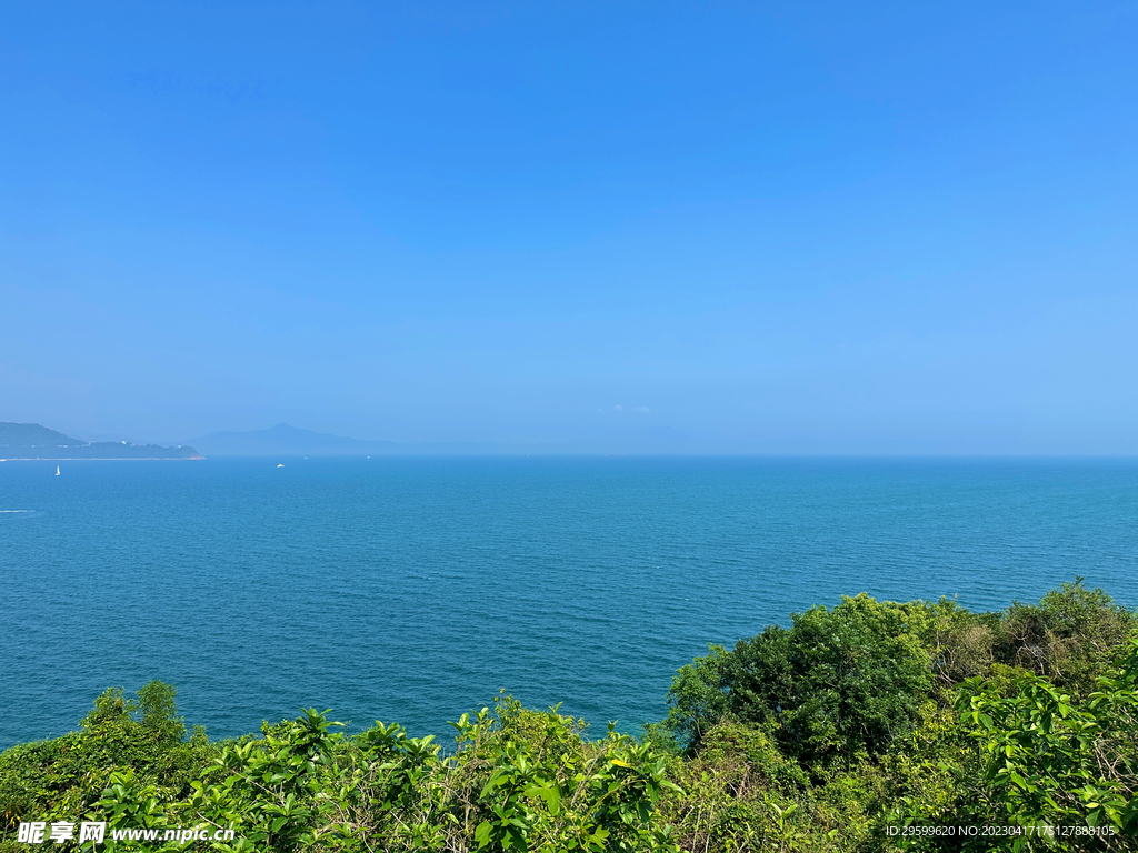 大海