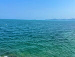 大海