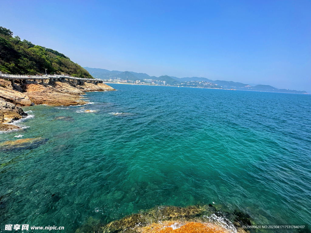 大海