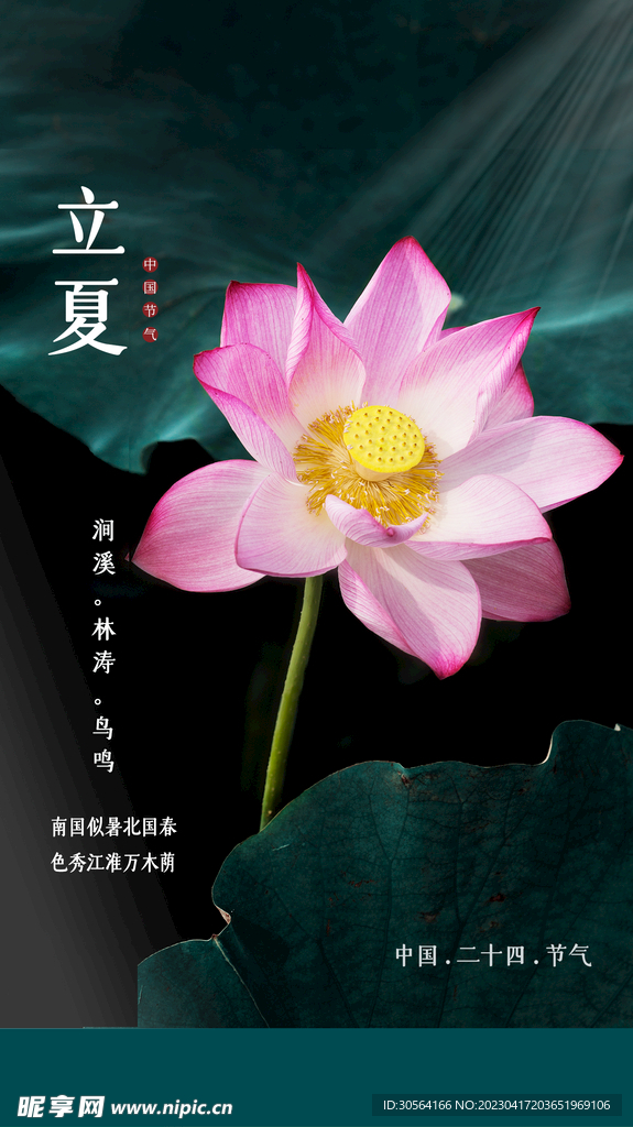 立夏