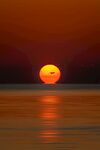 夕阳