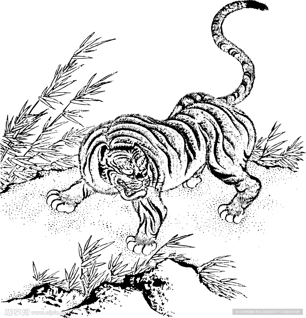 虎
