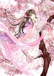 二次元风格图片素材