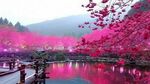 二次元风格图片素材