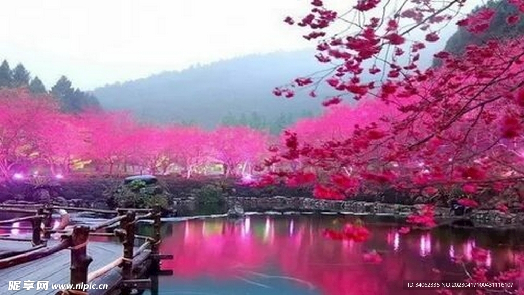 二次元风格图片素材