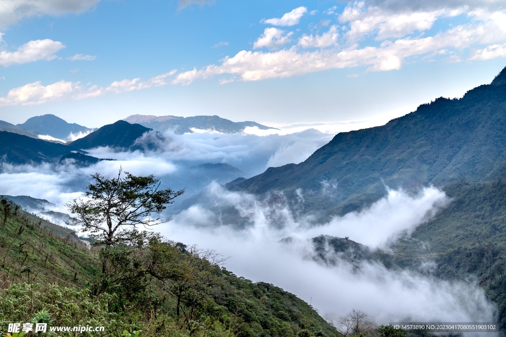 山间云雾