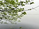 东湖