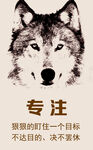 专注