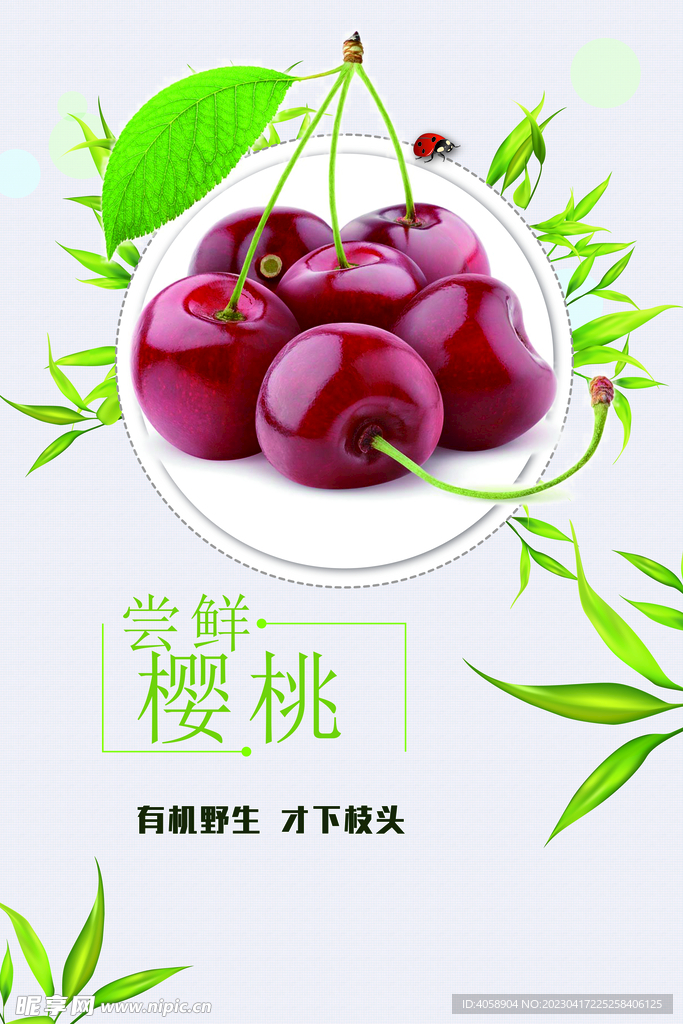 樱桃