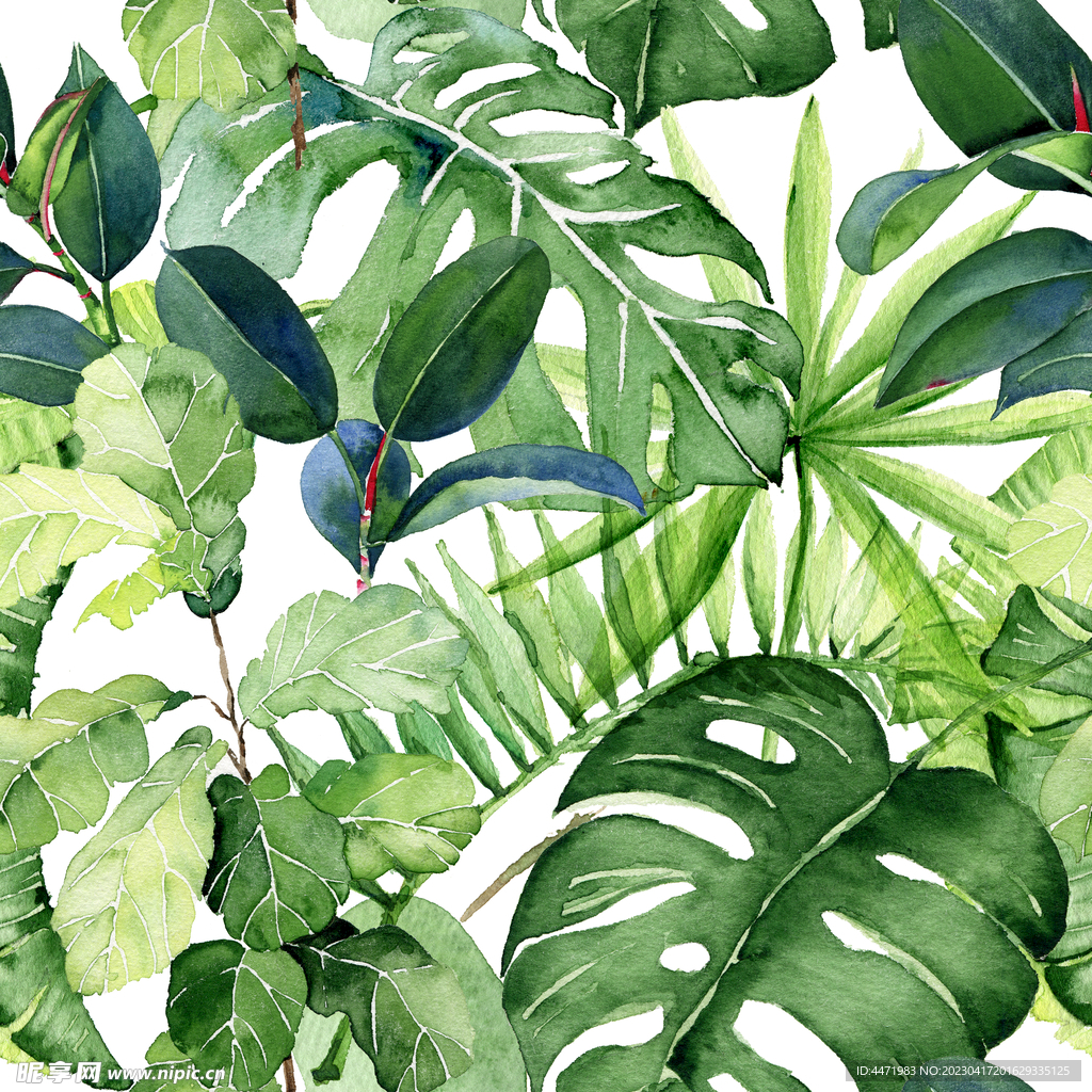 绿植背景 