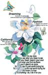 花朵四分色