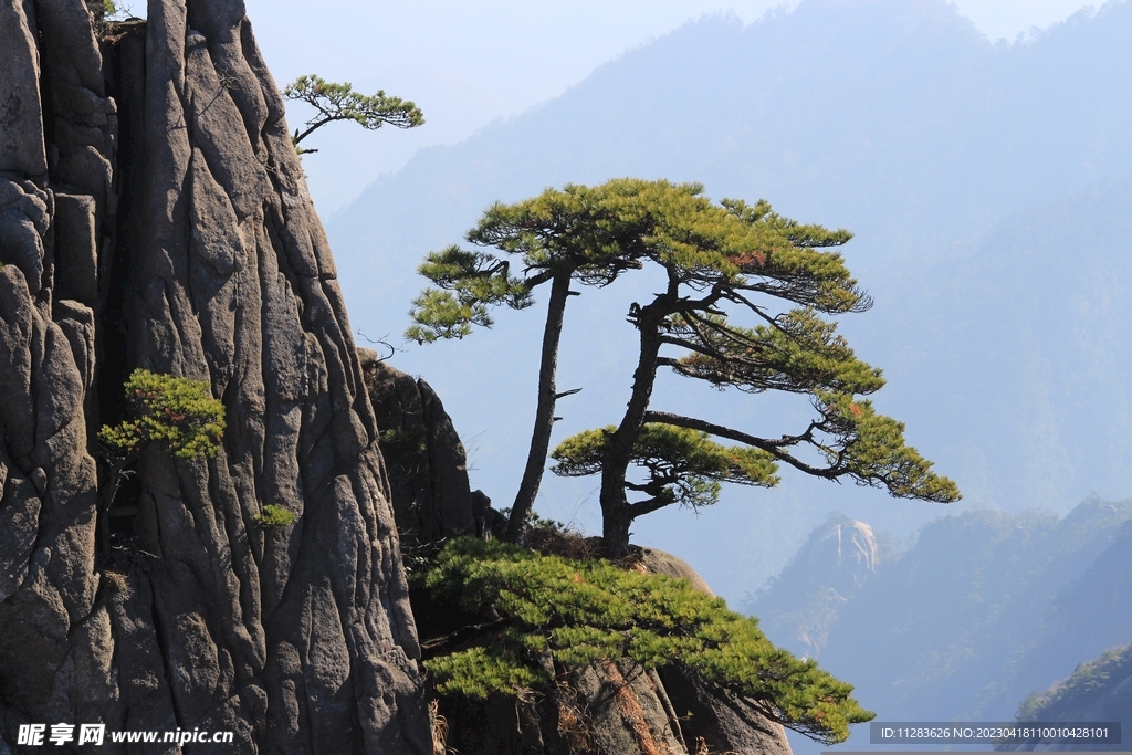 黄山风景