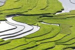 梯田风景