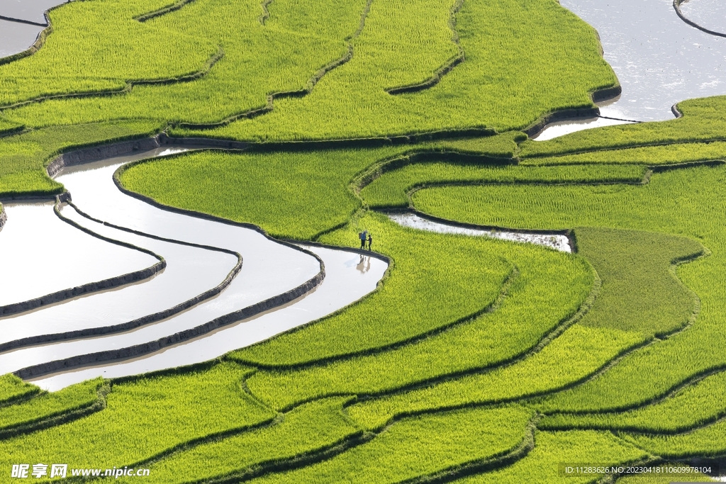 梯田风景