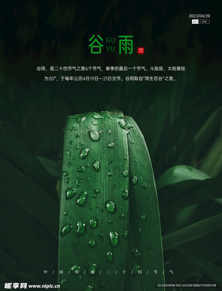 谷雨节气