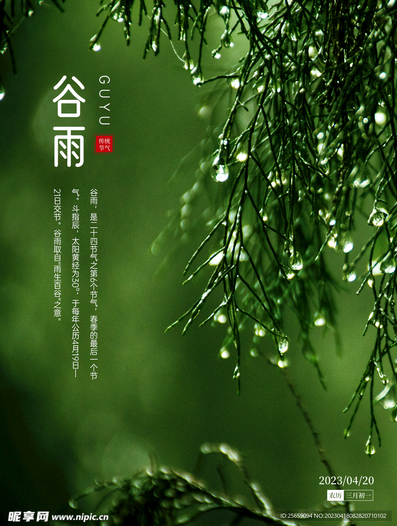 谷雨海报